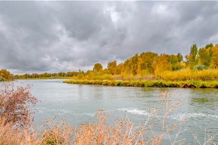 Snake River Autumn VI by Ramona Murdock art print