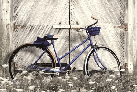 Blue Bike at Barn by Lori Deiter art print