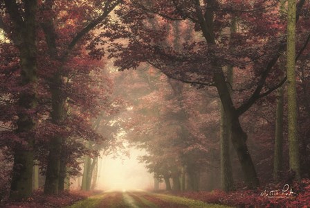 Dark Mystery by Martin Podt art print