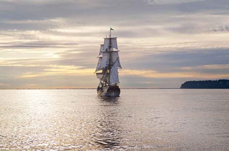 Lady Washington III by Alan Majchrowicz art print