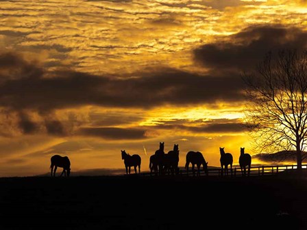 Horses at Sunset by Aledanda art print