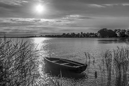 Lonely Boat by Anita Vincze art print