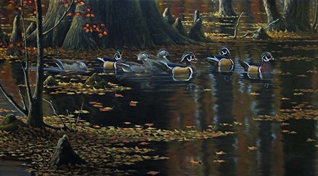 Cypress Jewels - Wood Ducks by Wilhelm J. Goebel art print