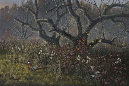 Old Orchard and Pheasant by Wilhelm J. Goebel art print