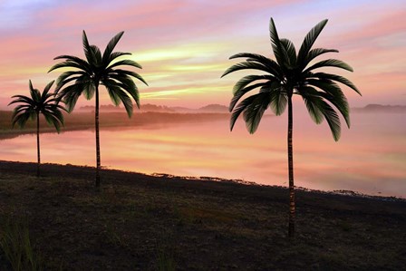 Sunset At The Beach by Ata Alishahi art print