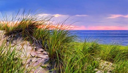Cape-Dune Sunset by Tammy Wetzel art print