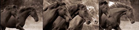 Horses Running by Susan Friedman art print