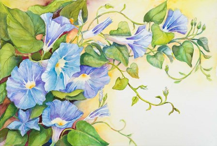 Trailing Vine Morning-Glories by Joanne Porter art print