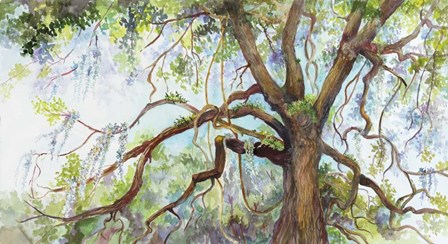 Southern Live Oak Tree by Joanne Porter art print