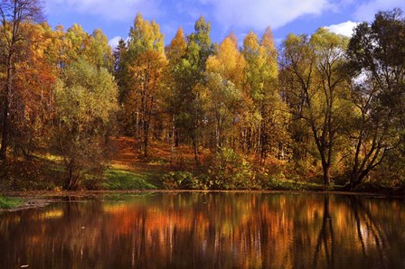 Autumn Reflections by Jenny Rainbow Fine Art art print