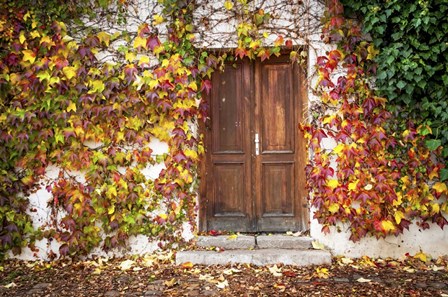 Autumn Wooden Doorway in Prague by Jenny Rainbow Fine Art art print