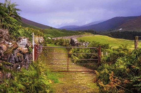 Gates on the Road at Wicklow Hills Ireland by Jenny Rainbow Fine Art art print